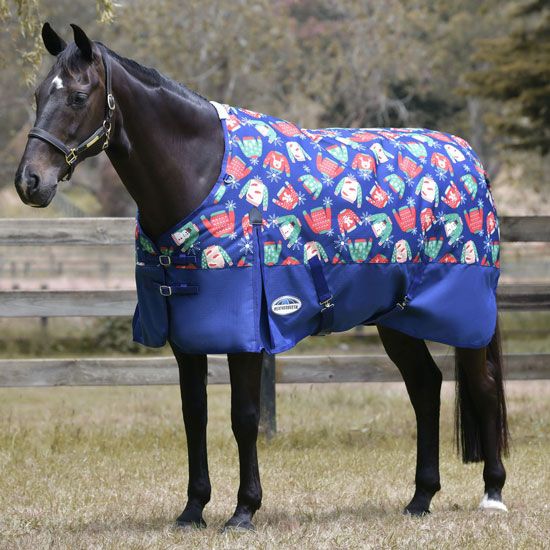 Horse Blanket/Turnout Storage Bag - Serape Print - Tough 1