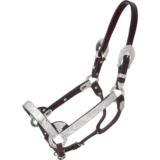 Pony size Horse Bronc Halter Fancy Tooled Leather Noseband w/ Silver  Conchos