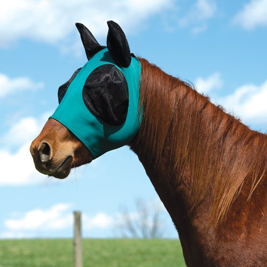 Horse Fly Protection