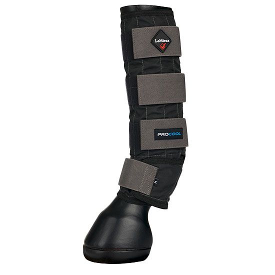 Comprehensive Horse Leg Protection for Horse's Well-Being