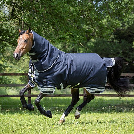 Premium Horse Blankets for Optimal Comfort and Protection | Rods.com