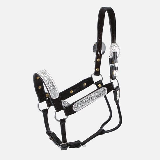 Western Horse Show Halters