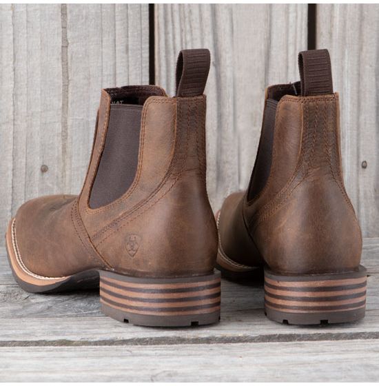 Ariat low cut on sale boots