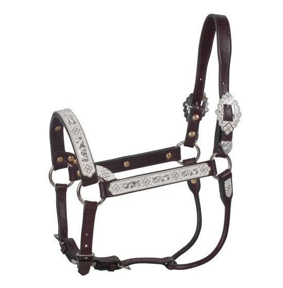 Kathy's Mexicali Show Halter