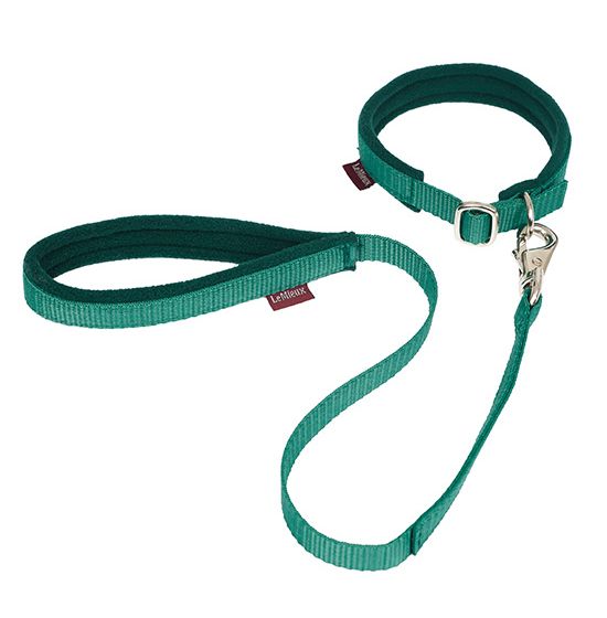 LeMieux Mini Puppy Lead Collar