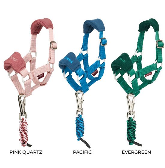 Mini LeMieux Headcollar