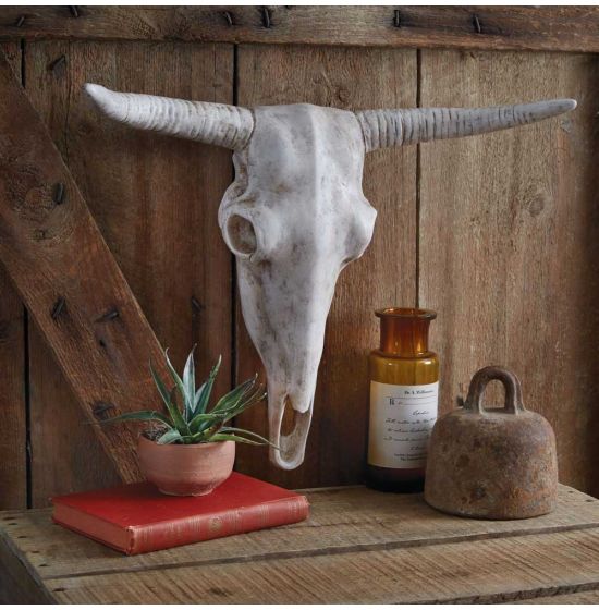 Steer head online wall decor