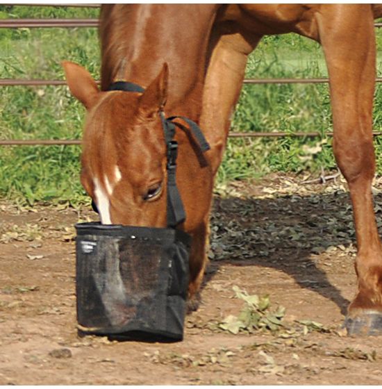 Cashel® Collapsible Water Pail