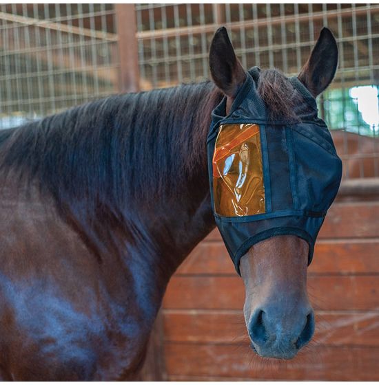 Eye patch for a horse - for a horse with a damaged eye or eye selling area