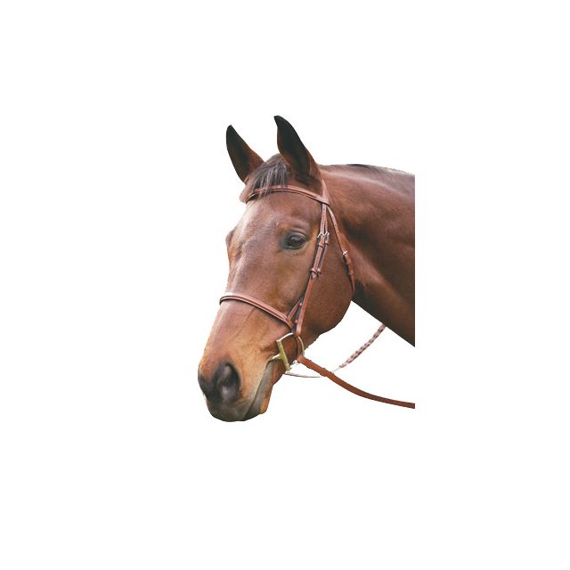 wholesale outlet Collegiate Comfort Crown Padded Raised Flash Bridle with  Rubber Reins