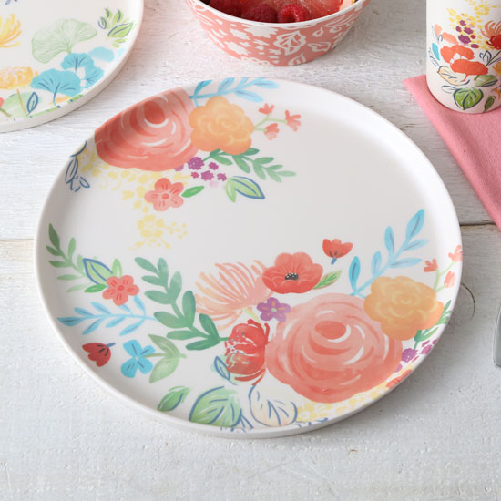 Set of 6 Country plates with floral border